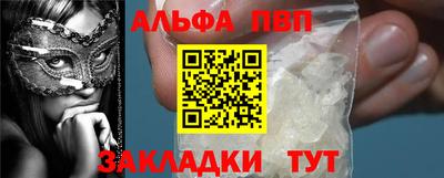 спиды Кингисепп