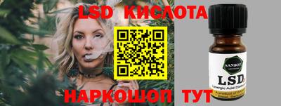 спиды Кингисепп
