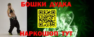 спиды Кингисепп